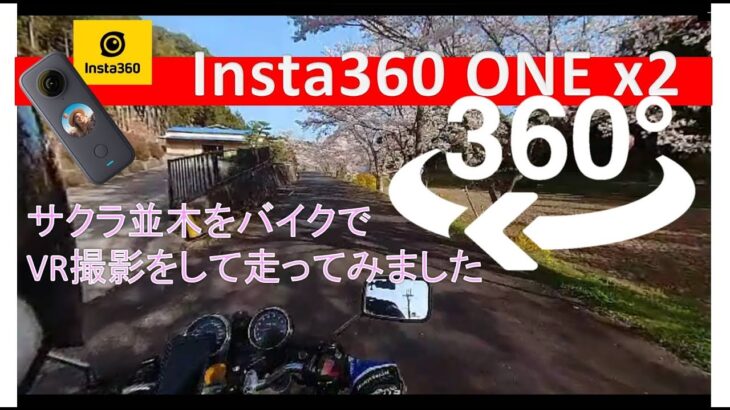 【Insta360one x2　VR映像】360°カメラで満開の桜並木道を走ってみました