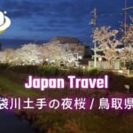 Japan Travel(360 VR Video) TOTTORI SAKURA（袋川桜土手の夜桜｜鳥取県鳥取市）Insta360ONEx2