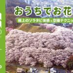 【ＮＡＧＡＮＯ観光アカデミー #16】   おうちでお花見会   ～極上のソラタビ体感 と 空撮テクニック大公開～