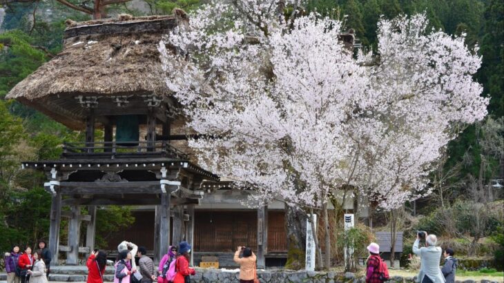 桜の頃 飛騨白川郷 #飛騨の風景　2013年4月22日