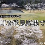 【日吉町お花見広場】ドローン空撮 京都府南丹市日吉町中神子ヶ谷 2021.4.2 dji MAVICMINI