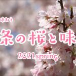 【オンライン花見】映像で味わう　西条の桜と味覚　2021spring