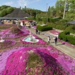 カフェジャルダン 25万株の芝桜アート 見晴らし台からの風景 高松市