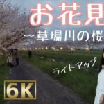 【360° 3D 6K】お花見VR 草場川の桜並木 〜ライトアップ/ VR “Hanami” Kusaba River Fukuoka Japan