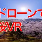 福井市　足羽川　桜並木　360°VR映像　ドローン空撮　2021