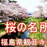 【桜の名所】【絶景】4K　福島県観音寺川