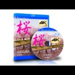 ドローン×4Kカメラ映像 ヒーリングブルー・エア　桜　DRONE×4K Camera View Healing Blue Air   SAKURA