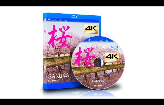 ドローン×4Kカメラ映像 ヒーリングブルー・エア　桜　DRONE×4K Camera View Healing Blue Air   SAKURA