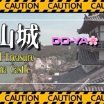 【ドローン空撮】国宝犬山城×桜🌸を空撮 / Aerial view of National Treasure Inuyama Castle