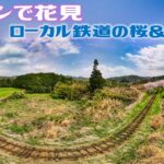 【ドローンで花見】ローカル鉄道沿いの桜　DRONE MavicAir2