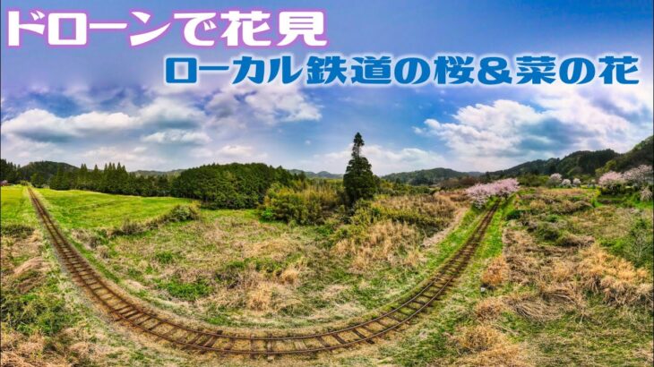 【ドローンで花見】ローカル鉄道沿いの桜　DRONE MavicAir2