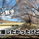【GoGoちゃんねる】Vlog『ドローン散歩、桜を空撮したかったけど・・・』