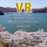 VR　SAKURA at Kamafusa Dam / Miyagi Prefecture Kawasaki Town / 宮城県川崎町　釜房ダム