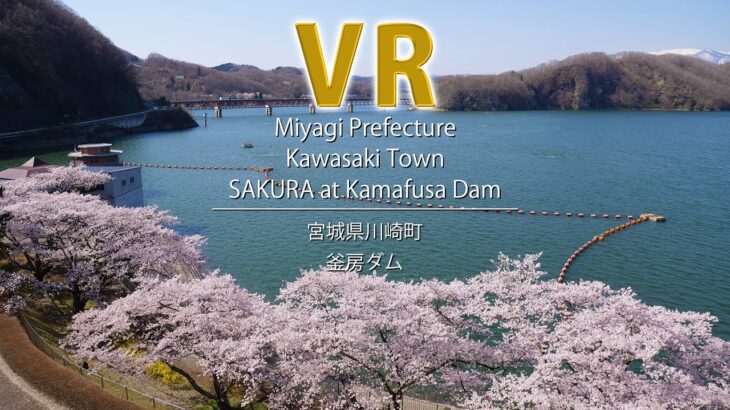 VR　SAKURA at Kamafusa Dam / Miyagi Prefecture Kawasaki Town / 宮城県川崎町　釜房ダム