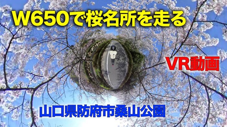 【VR動画】W650で桜名所（山口県防府市桑山公園）を走る