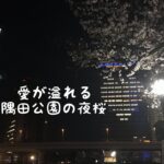 浅草夜桜花見　オリンピック関連カラーのスカイツリー　オンライン旅行　旅行をテイクアウト