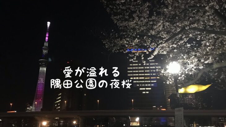 浅草夜桜花見　オリンピック関連カラーのスカイツリー　オンライン旅行　旅行をテイクアウト