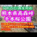 【ＶＲ対応動画】【　熊本県高森峠千本桜公園　】※ＶＲ動画でご覧いただくには、ＰＣへのダウンロード・スマホへの転送・スマホ用ＶＲ再生アプリダウンロードが必要です。