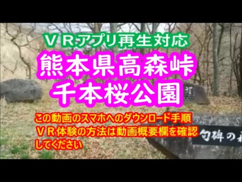 【ＶＲ対応動画】【　熊本県高森峠千本桜公園　】※ＶＲ動画でご覧いただくには、ＰＣへのダウンロード・スマホへの転送・スマホ用ＶＲ再生アプリダウンロードが必要です。