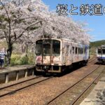 桜の動画＃５　鉄道の駅の風景