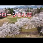 ドローンさんぽ～秋田に桜前線到来～