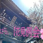 【解禁】行橋ロータリークラブバーチャル花見例会‼ドローン動画