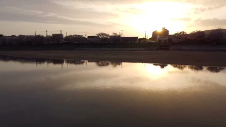 光市島田川のキレイな夕陽と故郷の桜　ドローン空撮映像田舎暮らしvlog　#YuAiru #YA