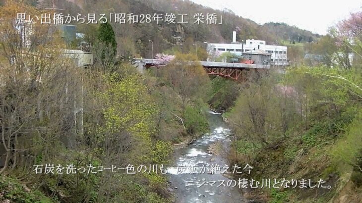 04_夕張、あの日見た桜点描 _令和２年度夕張アートプロジェクト事業