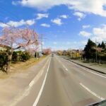 【360°VR】北斗市清川千本桜