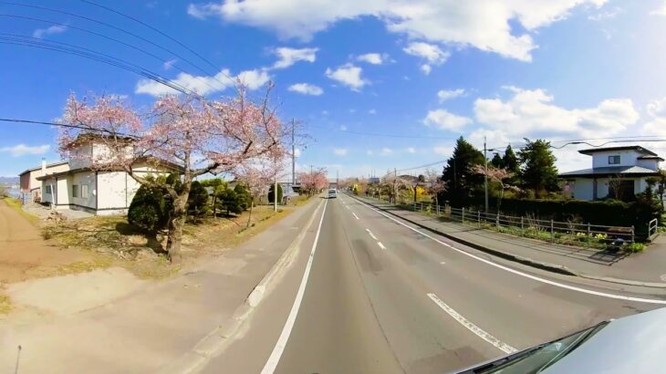 【360°VR】北斗市清川千本桜