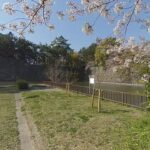 3DVR　名古屋城と桜　Nagoya castle , sakura , cherry blossoms , hanami