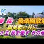 ピアノ讃美 癒やしの風景。4K 春 桜 岡山 後楽園 散策  ♬ 主、我を愛す。♬ 主イェスこそわが望み。♬ 聖なる聖なる聖なるかな。♬ 丘に立てる荒削りの十字架。