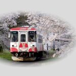 岐阜　樽見鉄道　桜のある風景