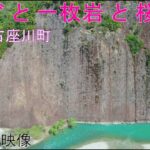 古座川町一枚岩(ドローン空撮) と びーぐ と 桜
