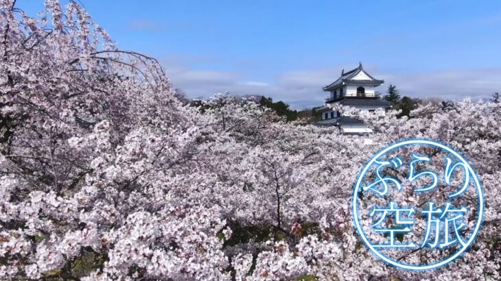 【ドローン空撮】宮城県白石市の桜（「ぶらり空旅」/チャージ！）