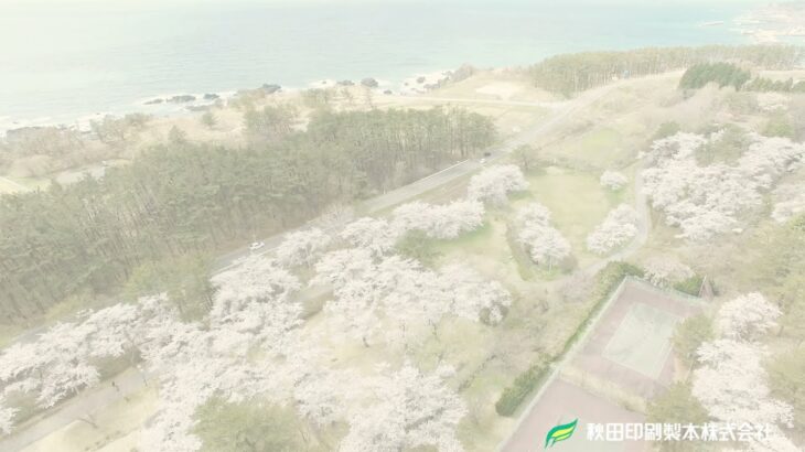 ドローン空撮 秋田県 桜と海 2021/Drone aerial Akita Cherry blossoms and the sea