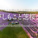 【360°空撮VR】ひがしもこと芝桜公園
