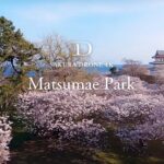[4K SAKURA DRONE] Matsumae Park in Matsumae, Hokkaido｜北海道 松前公園｜桜ドローンプロジェクト 4K