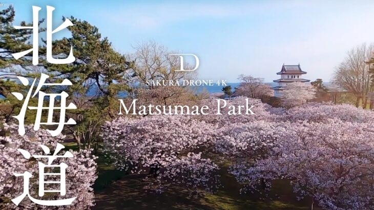 [4K SAKURA DRONE] Matsumae Park in Matsumae, Hokkaido｜北海道 松前公園｜桜ドローンプロジェクト 4K