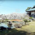 [4K SAKURA DRONE] Takamatsu Park & Fukusenji, Iwate｜岩手県｜桜ドローンプロジェクト 4K
