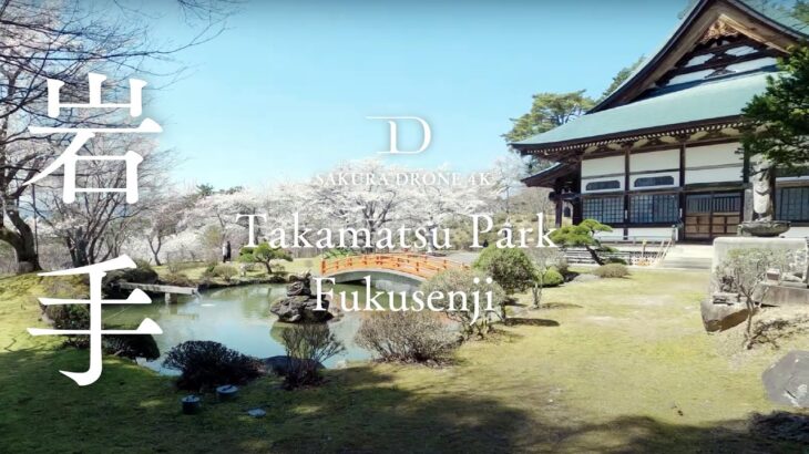 [4K SAKURA DRONE] Takamatsu Park & Fukusenji, Iwate｜岩手県｜桜ドローンプロジェクト 4K