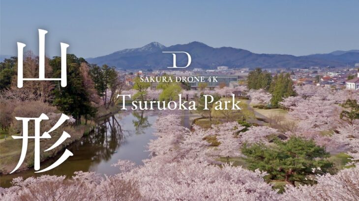 [4K SAKURA DRONE] Tsuruoka Park in Tsuruoka, Yamagata｜山形県鶴岡市鶴岡公園｜桜ドローンプロジェクト 4K