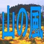 里山の風景写真/桃,桜,ツツジ,ポピーなど/Spring Satoyama landscape photograph