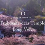 [4K SAKURA DRONE] Tsubosaka-dera Temple, Nara (Long Ver. )｜壷阪寺 奈良県｜桜ドローンプロジェクト 4K