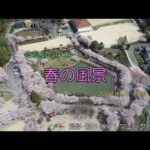 Drone 空撮 ～市内桜春の風景