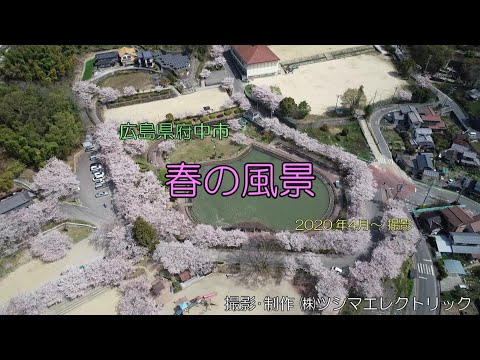 Drone 空撮 ～市内桜春の風景