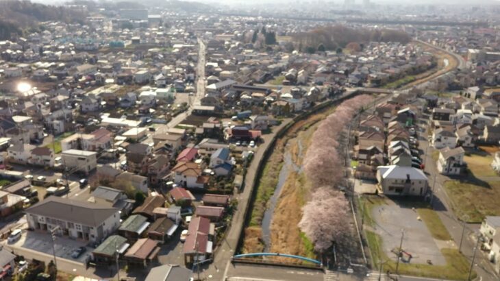 20210403 【ドローン空撮】川沿いの桜並木