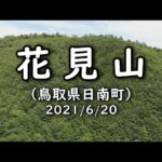 花見山（鳥取県日南町）2021年6月20日　ドローン映像