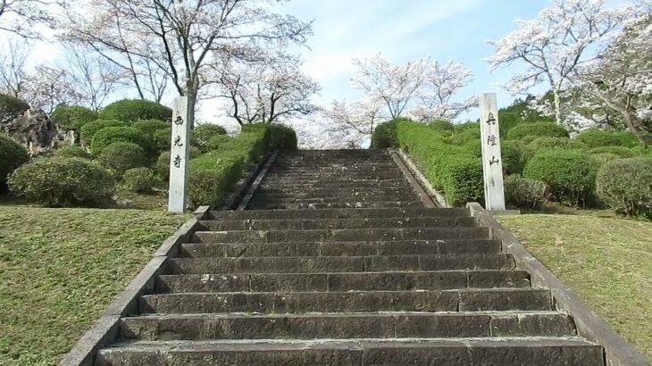 #津和野点描 西光寺の桜 2021春の風景 曹洞宗