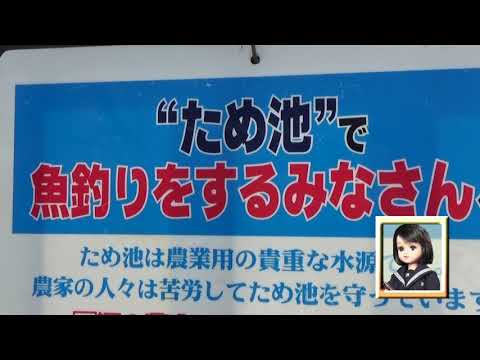 30秒の心象風景21254・魚釣りをするみなさんへ～桜上池～